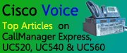 advert-banner-voice