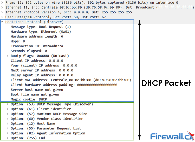 dhcp packet capture with dhcp options