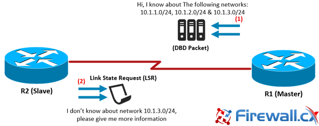 ospf-adjacency-neighbor-forming-process-hello-packets-lsr-lsu-2