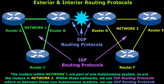 What is the purpose of a routing protocol?