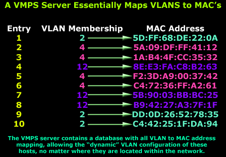 vlans-designing-vlans-dynamic-1