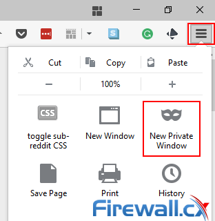 Anonymous browsing Firefox new private window
