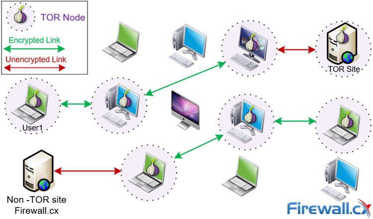 How data is exchanged in a ToR VPN Network