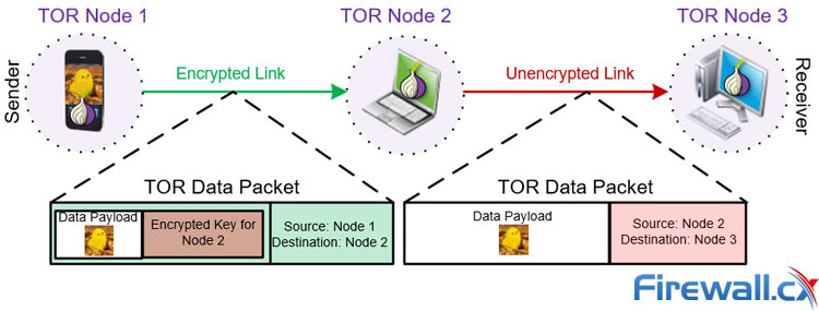 Data transfer via the TOR network guarantees encryption and privacy
