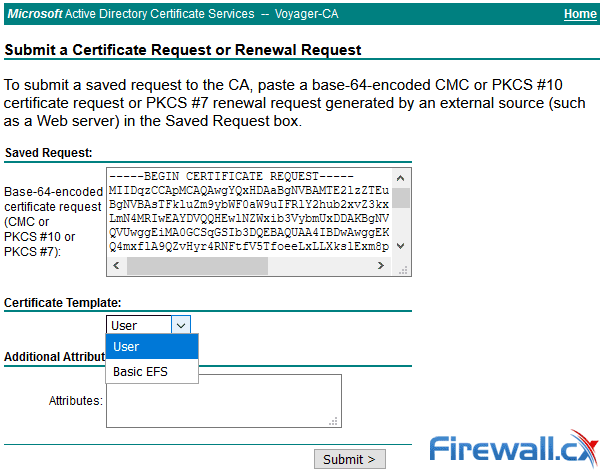 windows ca web server certificate template missing