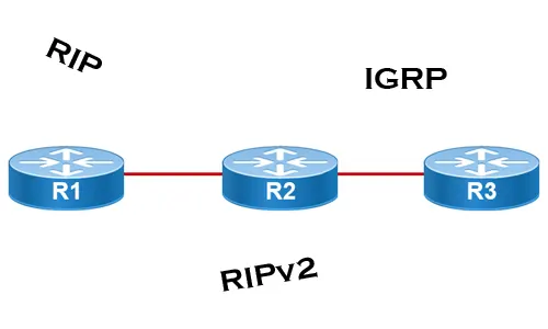 Distance Vector Routing Protocols