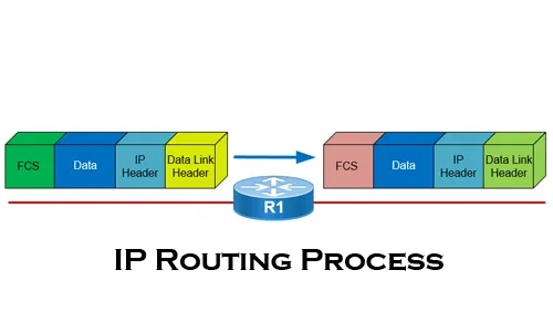 IP Routing Process