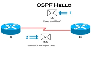 OSPF Adjacency & Neighbor Forming Process