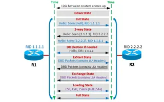 OSPF Neighbor States – OSPF Neighbor Forming Process