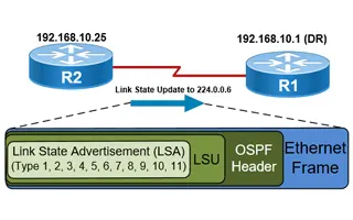 Analysis of OSPF Link State Update (LSU) - Link State Advertisement (LSA) Packet Structure. Common LSA Types