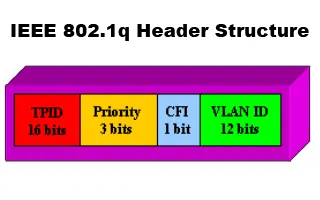 IEEE 802.1q header analysis