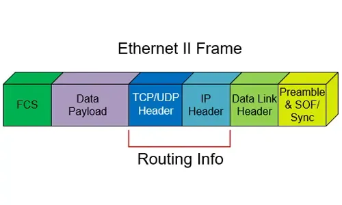 Routed Protocols 