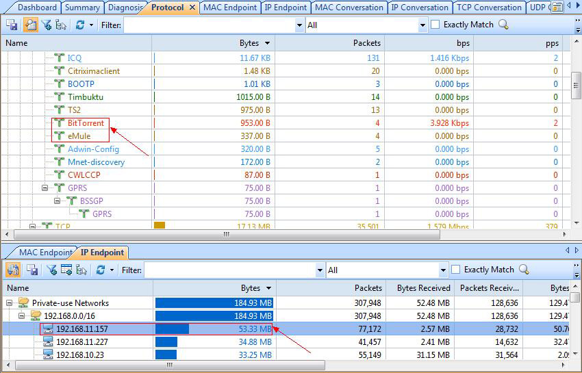 capsa-network-analyzer-detect-p2p-file-sharing-torrent-traffic-2