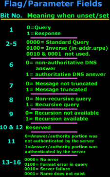 dns-query-format-10