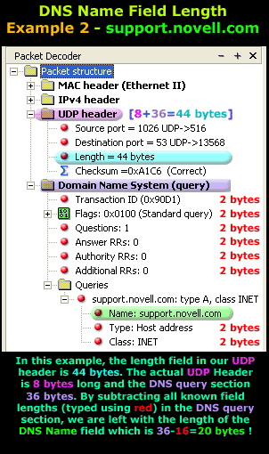 dns-query-format-8