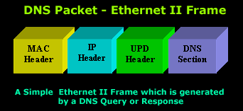 dns-response-format-2