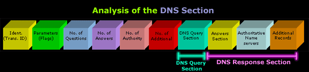 dns-response-format-5