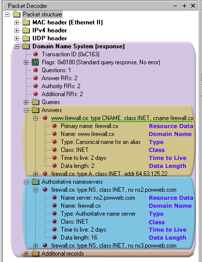 dns-response-format-8