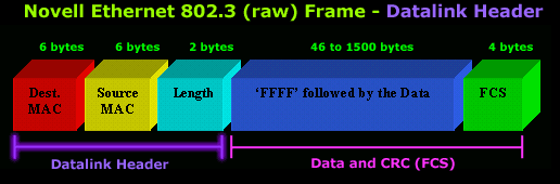 Novell Ethernet 802.3 (RAW) Frame Format