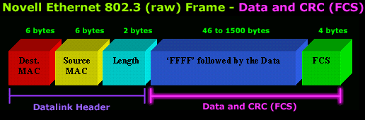 Novell Ethernet 802.3 (RAW) Frame Format