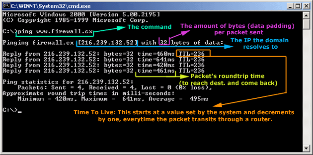 icmp-echo-example