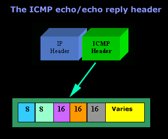 icmp-echo-header