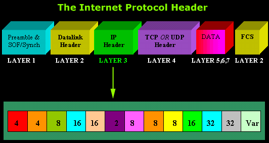 ip-header-2