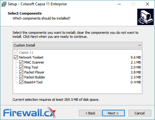 capsa enterprise v11 installation options