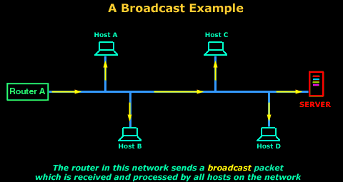 Network Broadcast