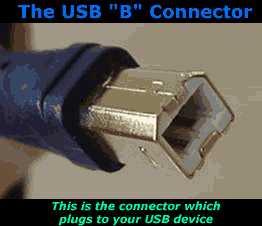 USB 'A' and 'B' type connectors