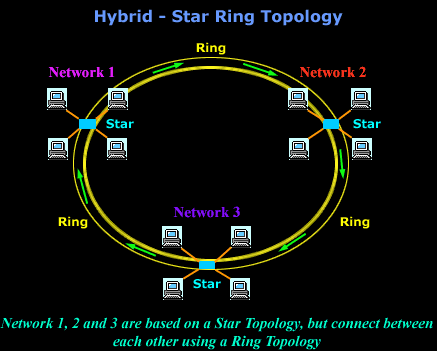 LAN Network Topologies