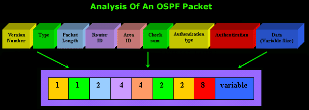 ospf-1