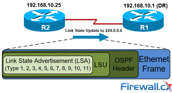 OSPF LSA Types