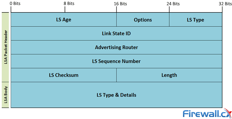 OSPF LSA Packet structure and fields