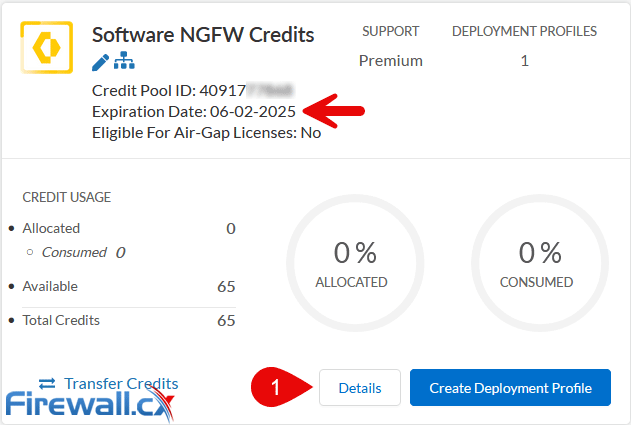 Palo Alto Networks - Software NGFW Credits