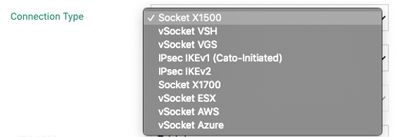 catonetwork sdwan sase site connection type