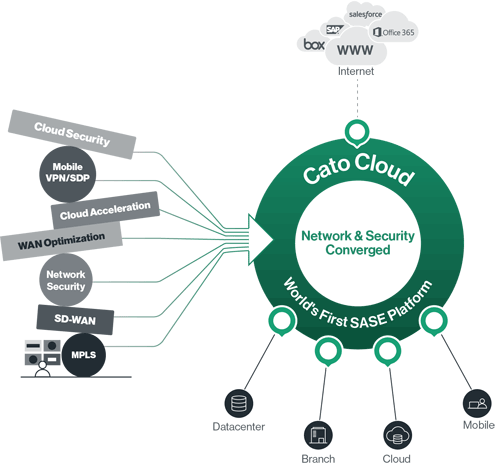 catonetworks first sase platform