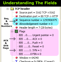 tcp-analysis-section-2-4