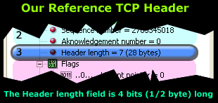 tcp-analysis-section-3-1