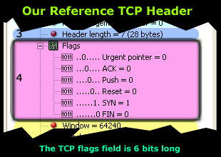 tcp-analysis-section-4-1
