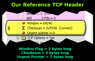 tcp-analysis-section-5-1