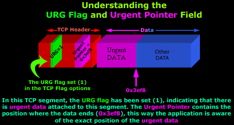 tcp-analysis-section-5-8