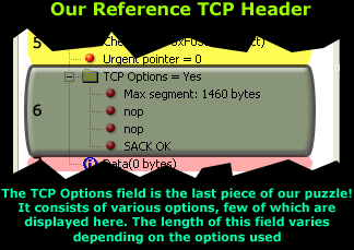 tcp-analysis-section-6-1
