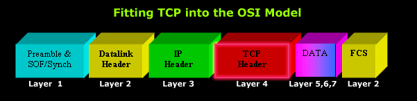 tcp-protocol-2