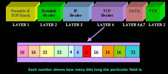 tcp-quick-overview-1