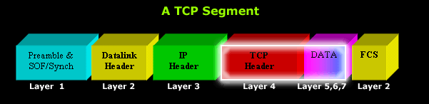 tcp-segment-1