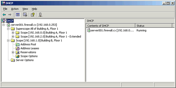 tk-windows-dhcp-2k3-advanced-9