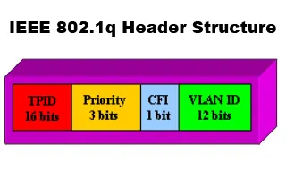 vlan 802.1q analysis intro