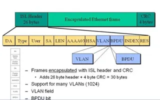 vlan isl analysis intro