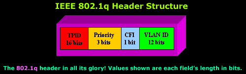 vlans-8021q-analysis-2